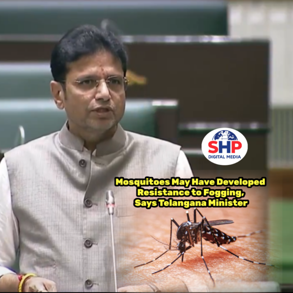 Mosquitoes May Have Developed Resistance to Fogging, Says Telangana Minister